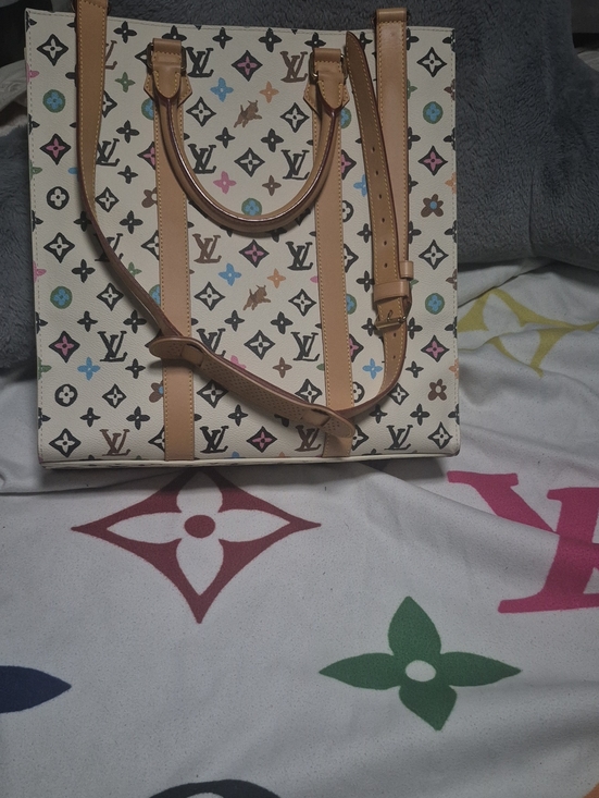 Louis Vuitton Handbags - Louis Vuitton X Tyler the Creator 2024 Craggy Vanilla Sac Plat